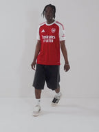 Arsenal FC Home